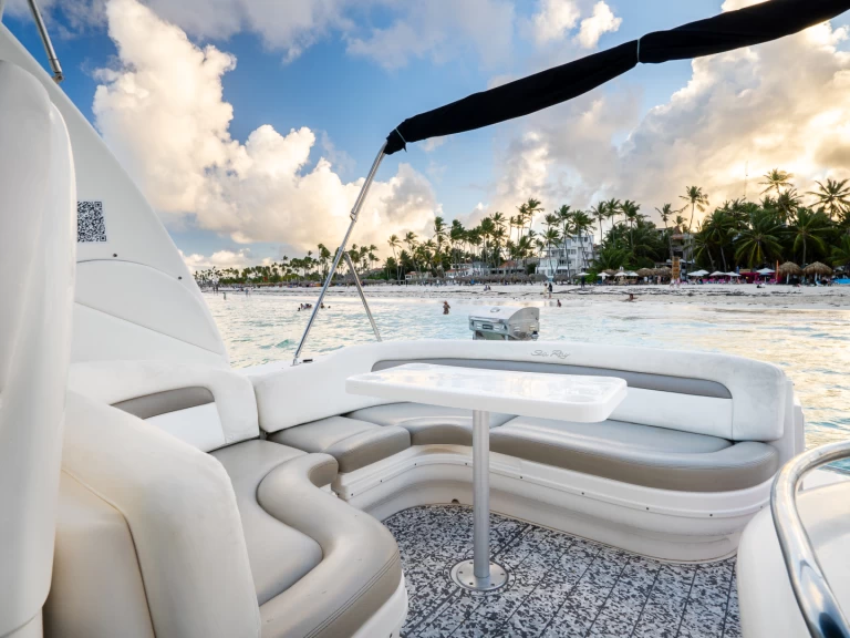 Motorboat rental with or without captain Custom Made Punta Cana