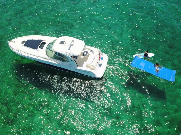 Rent a Sea Ray 42 Miami Beach