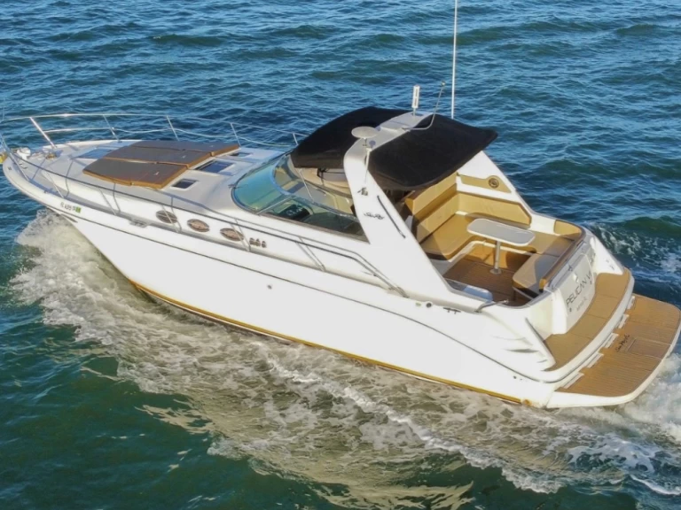 Luxury Yacht for rent Key Biscayne at the best price