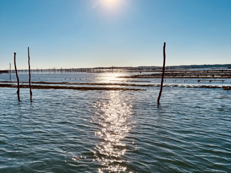 Beacher Beacher 840 in France on SamBoat