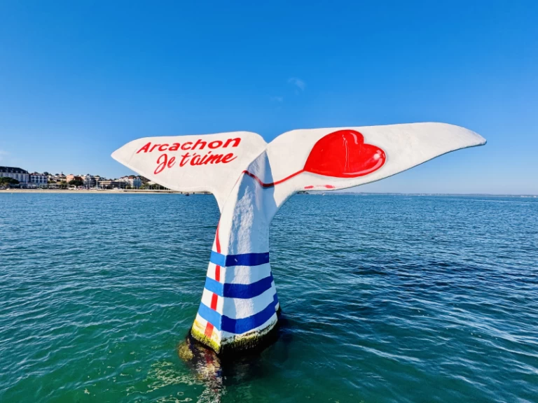 Rent a Beacher Beacher 840 France