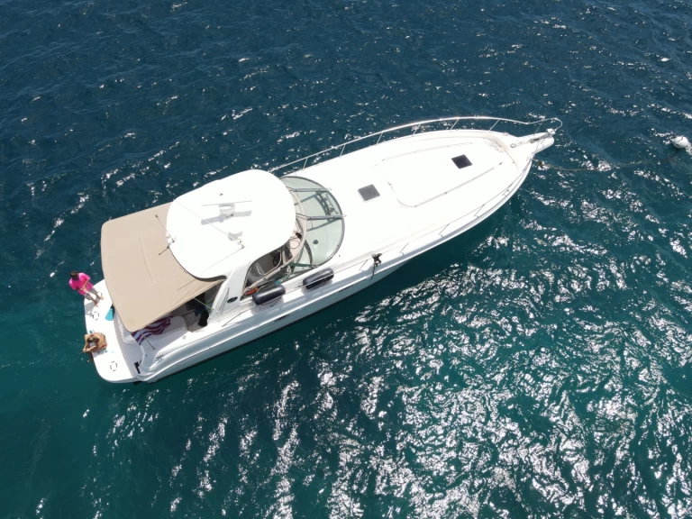 Yacht charter Tortola cheap Sea Ray 525 Sundancer