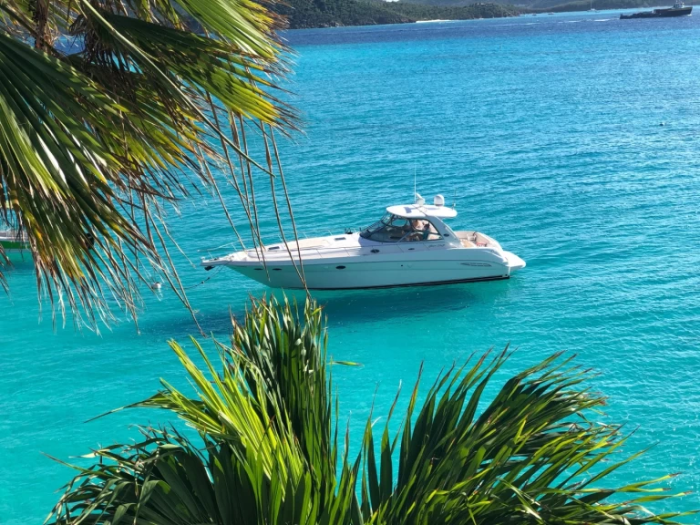 Luxury Yacht rental in Tortola - Sea Ray Sea Ray 525 Sundancer