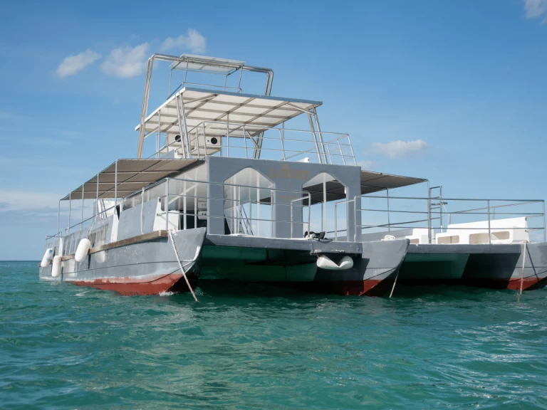 Catamaran rental in Bávaro - Custom Made Custom made