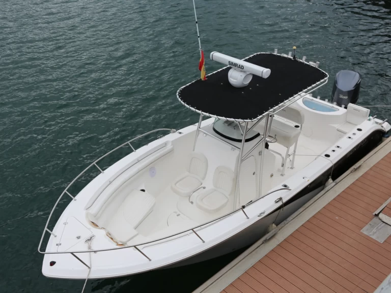 Bareboat Rental Motorboat SEAFOX with a boat licence