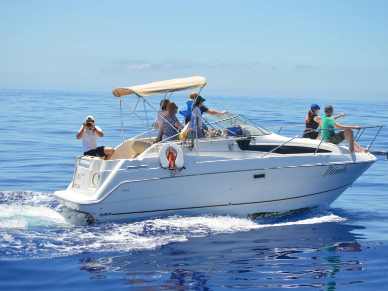 Boat rental Bayliner Bayliner 2355 Ciera in Calheta on Samboat