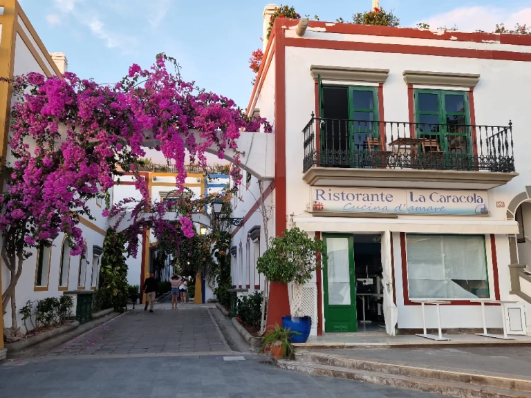 Rent a Jeanneau Sun Odyssey 44i Puerto de Mogán