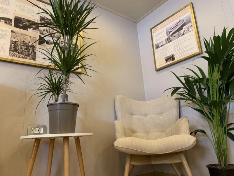 Rent a Custom Made Lastavica Komolac