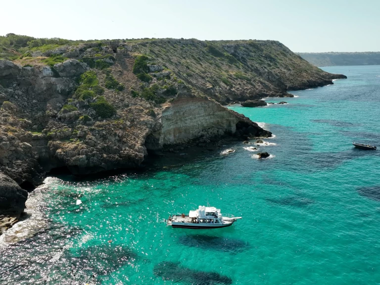 palma 1 in s'Arenal on SamBoat