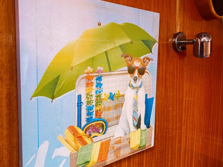 Bavaria Bavaria 42 Cruiser in Lefkáda on SamBoat