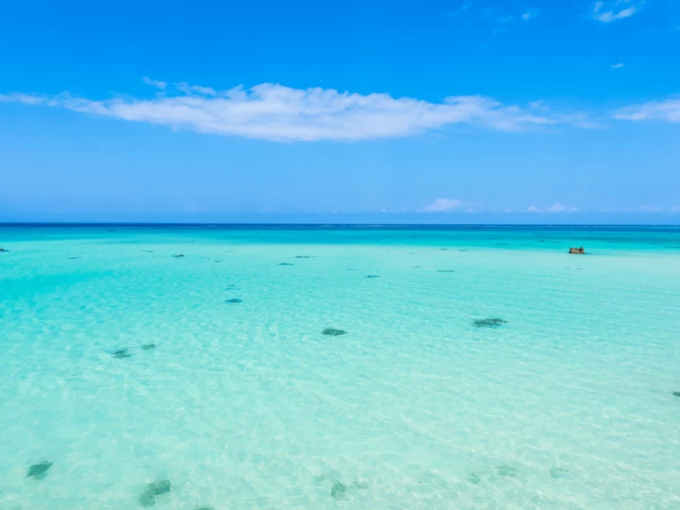 Catamaran rental with or without captain Custom Made Kendwa