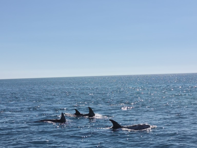 Rent a Fountaine Pajot FP 44 Portimão