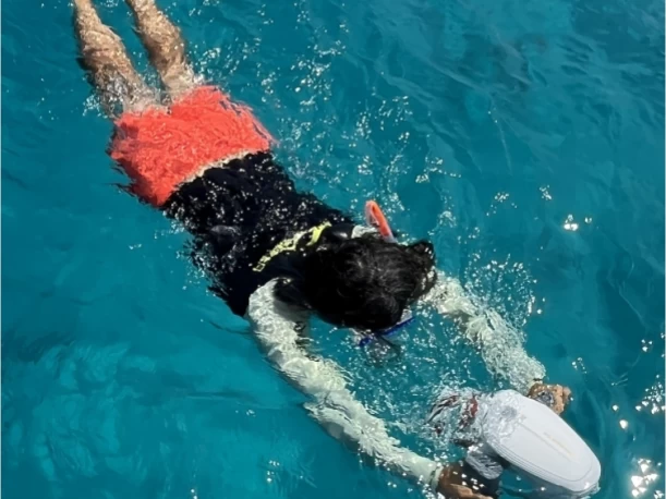 Boat rental Fountaine Pajot Astrea 42 in Hyères on Samboat