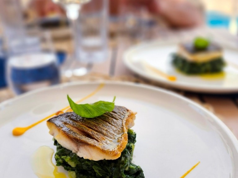 Catamaran rental with or without captain Sunreef Rogoznica