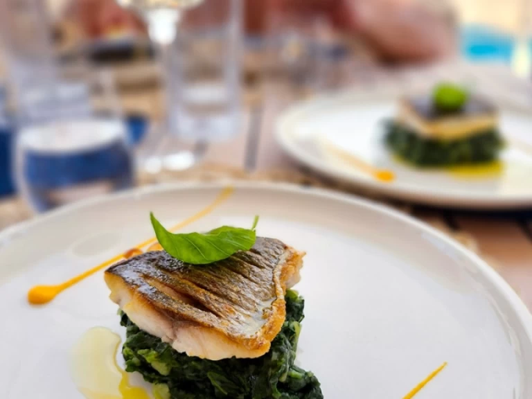 Catamaran rental with or without captain Sunreef Rogoznica