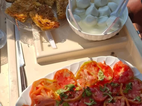 Motorboat rental in Sorrento - Tirrenia Viveur 28