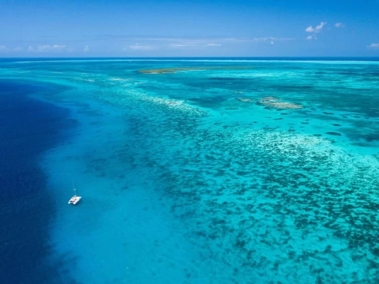 Catamaran rental with or without captain Lagoon Belize City