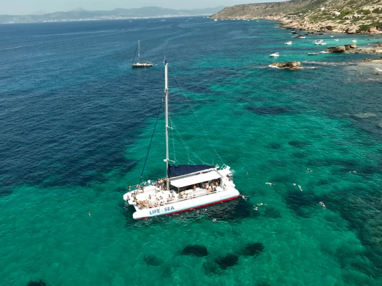 Rent a Drassanes Dalmau one of a kind Playa de Palma