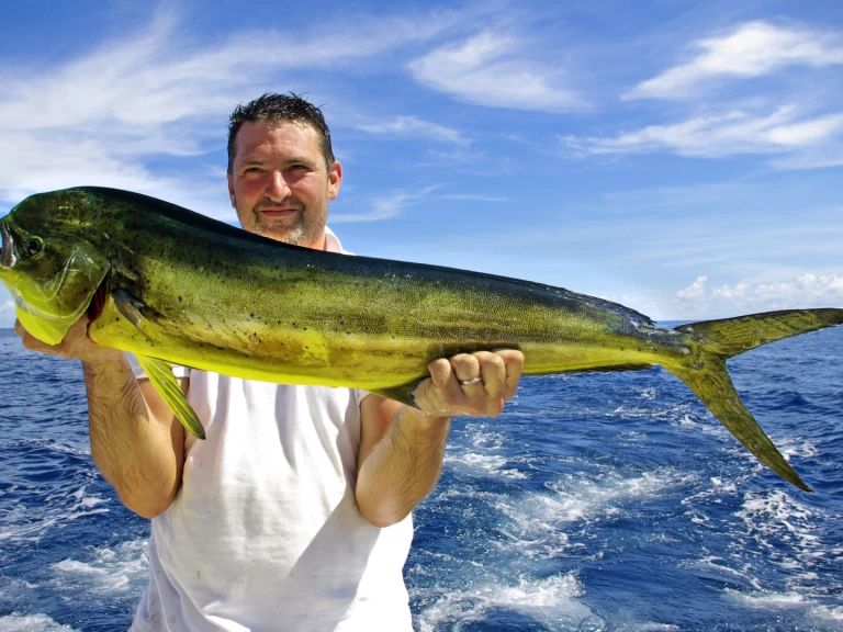 Luxury Yacht rental with or without captain Custom Made Punta Cana