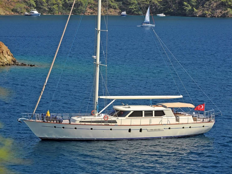 Boat rental Custom Tango Charlie in Bodrum on Samboat