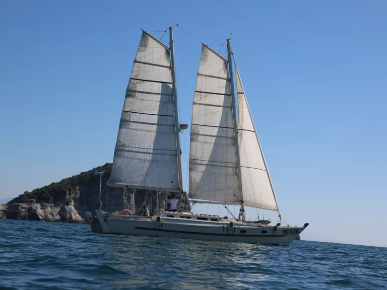 Catamaran rental with or without captain Wharram La Spezia