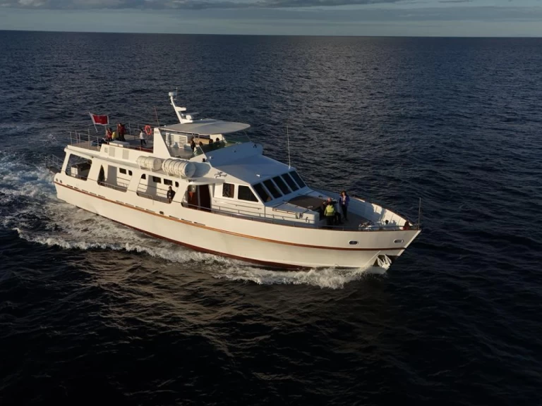 Pathfinder 29 charter bareboat or captained in  Sliema