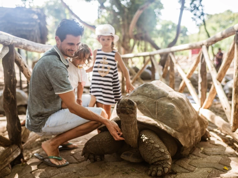 Sailboat rental with or without captain Custom Zanzibar