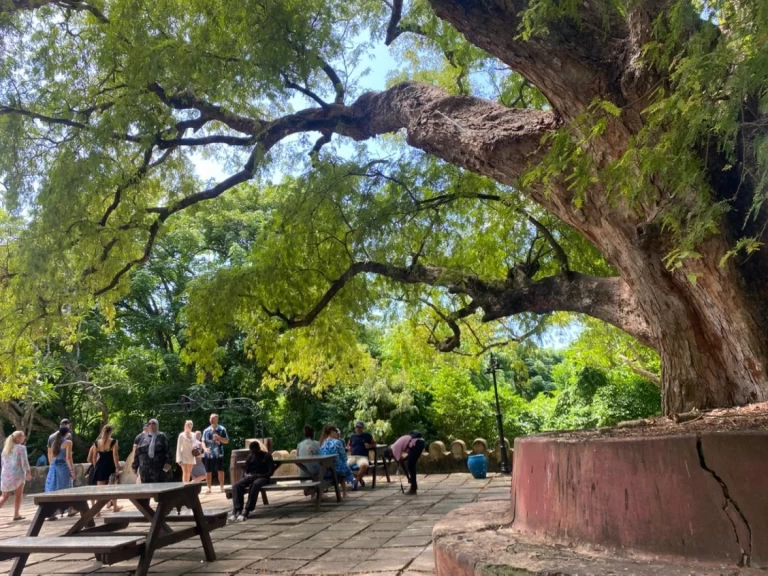 Boat rental Custom Custom in Zanzibar on Samboat