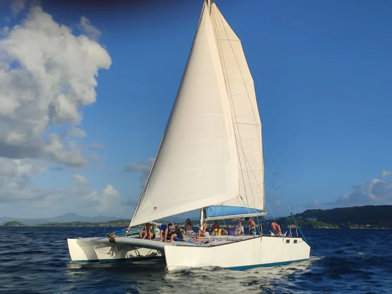 Boat rental Snotra open40 Plan eric lerouge in Les Trois-Îlets on Samboat