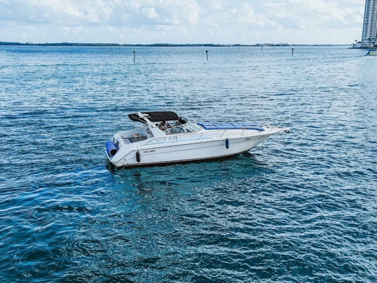 Bareboat Rental Motorboat Sea Ray with a boat licence