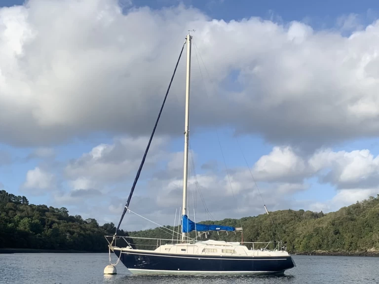 Yacht charter Port de Sainte-Marine cheap contest 29