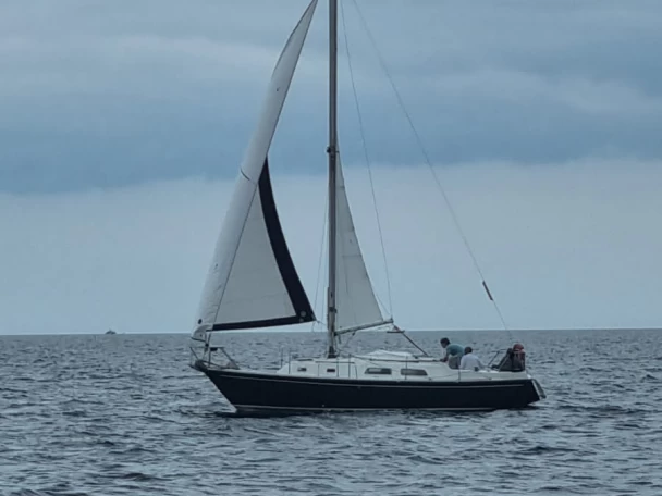 Sailboat rental in Port de Sainte-Marine - Contest contest 29