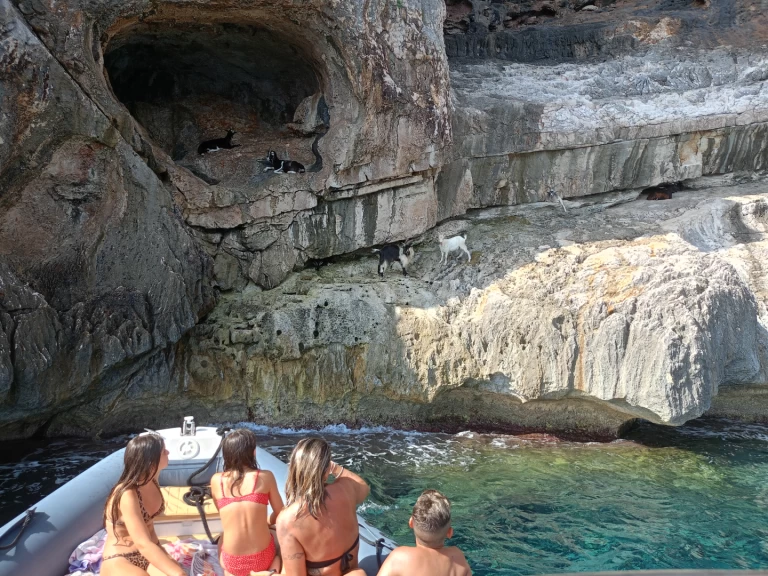 Nuova Jolly King 750 in Cala Gonone on SamBoat