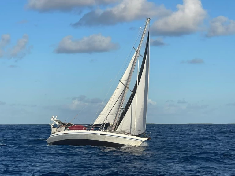 Rent a Alubat Ovni 43 La Paz