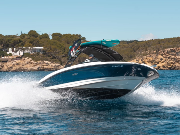 Rent a Sea Ray SPX 210 OB Palma de Mallorca