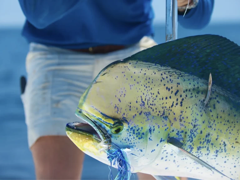 Rent a HCB 53 Suenos  Providenciales