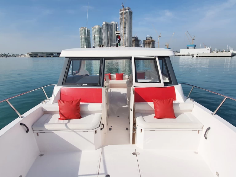 Sea Ray X13 charter bareboat or captained in  Dubaï harbour