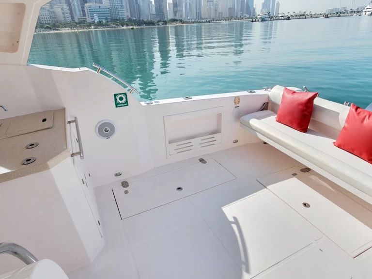 Rent a Sea Ray X13 Dubaï harbour