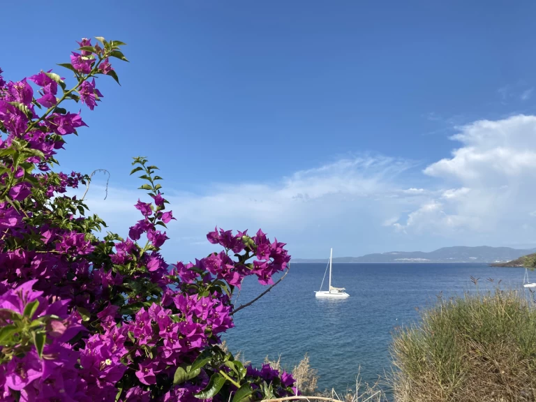 ALIBI ALIBI 54 in Pianottoli-Caldarello on SamBoat