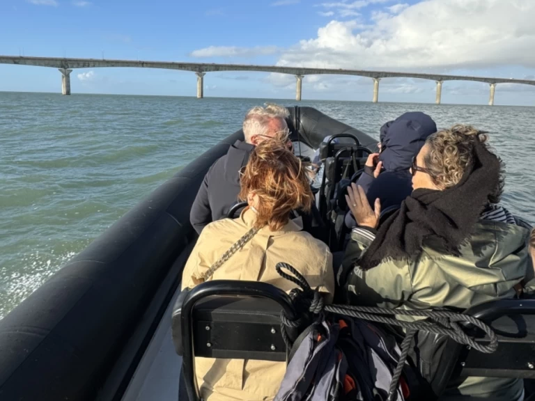 Boat rental Narwhal sp900 in La Rochelle on Samboat