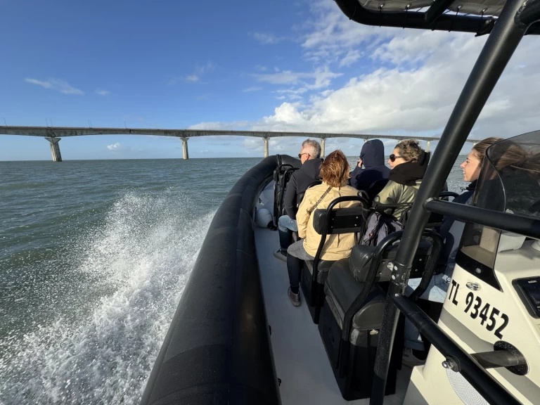 Bareboat Rental RIB Narwhal with a boat licence