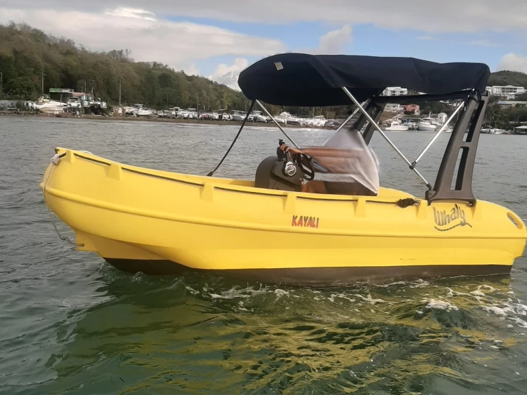 Bareboat Rental Motorboat Whaly with a boat licence