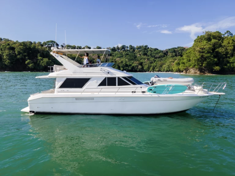 Luxury Yacht rental with or without captain Sea Ray Quepos