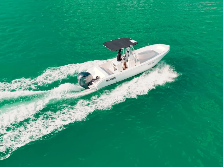 Forboat Forbin 23 in Le Gosier on SamBoat