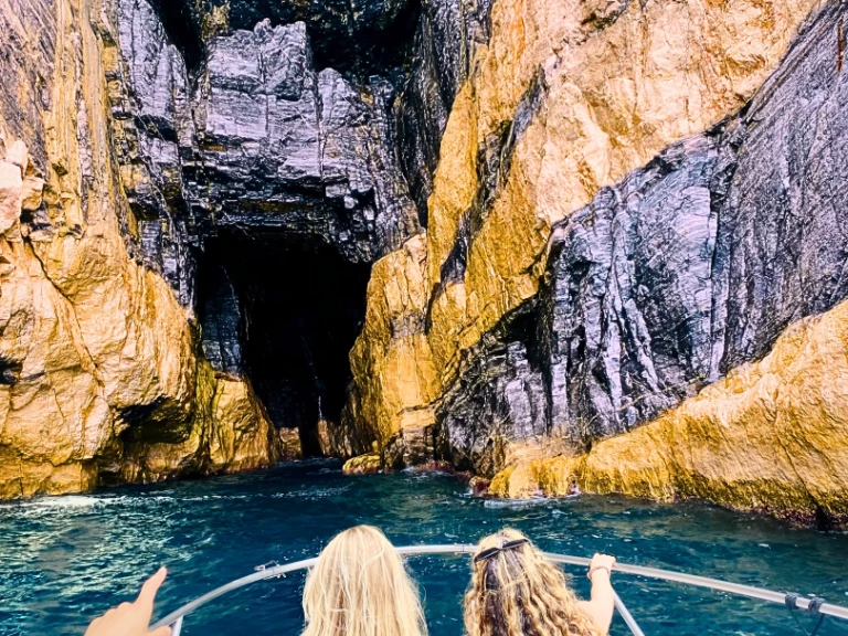 Boston Whaler Boston Whaler 220 Dauntless in La Spezia on SamBoat