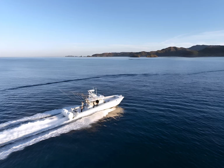 Yacht charter Flamingo cheap Freeman 47FT