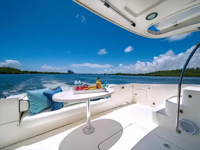 Sea Ray Sea Ray 525 Sedan Bridge charter bareboat or captained in  Miami Beach