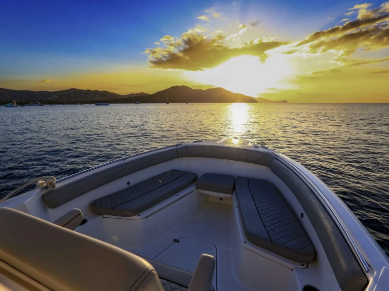 Bareboat Rental Motorboat Pursuit with a boat licence