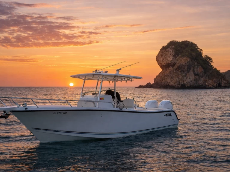 Rent a Zodiac Zodiac 28 FT Coco Bay