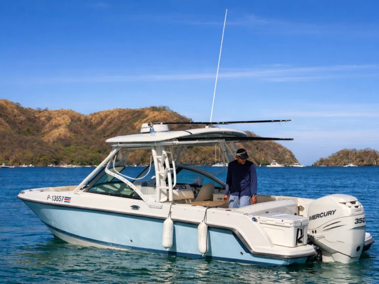Boat rental Boston Whaler Boston 24 FT in Coco Bay on Samboat